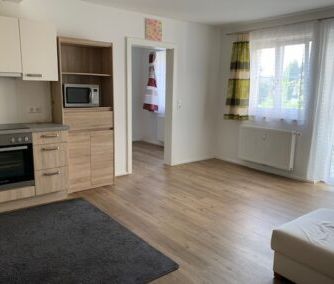 Moderne, lichtdurchflutete 1 Zimmer Erdgeschosswohnung mit Terrasse - Foto 5