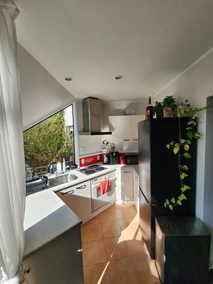 Private 1 bedroom Unit with Pool in Castor Bay - Photo 1