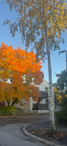 Fredrikshögsgatan, Umeå - Foto 5