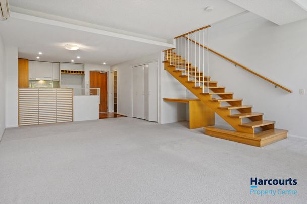 57/21 Love Street, Bulimba QLD 4171 - Apartment For Rent | Domain - Photo 1