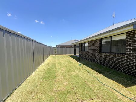 Modern Family Home in Lochinvar - Photo 4