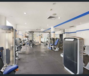 546/7 Crescent Street, Waterloo, NSW 2017 - Photo 5