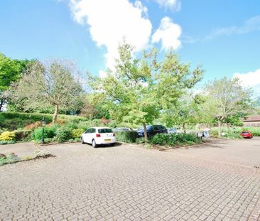1 bedroom apartment to rent - Photo 6