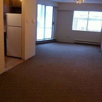 1 Bedroom Apartment in Kitsilano - 2 BLOCKS TO KITS BEACH - Photo 4