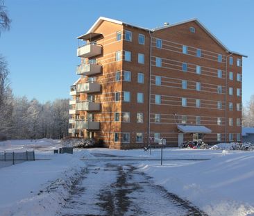 Plogvägen 103 - Photo 6