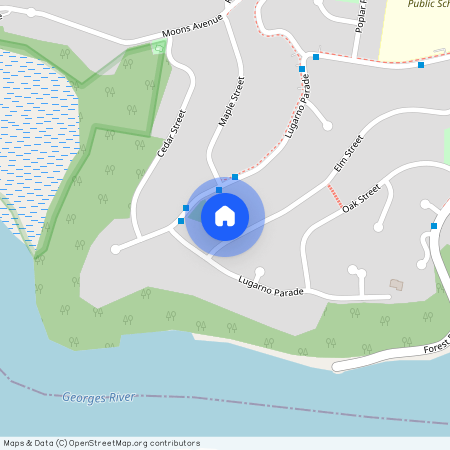 64 Elm Street, NSW 2210, Lugarno