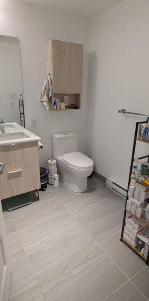 Appartement de 1 chambre et 1 salle de bain - Photo 1