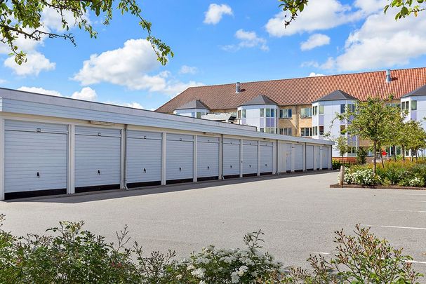 Afd. 4 Lindevang - Photo 1