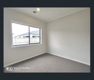 High Quality 4 Bedroom 2 Living Area House! - Photo 2