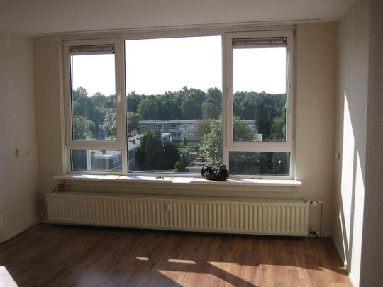 Te huur: Appartement Mendelssohnstraat in Hengelo - Photo 1