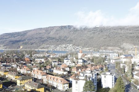 1.5 Zimmer, 37 m², 16. Stock - Photo 5