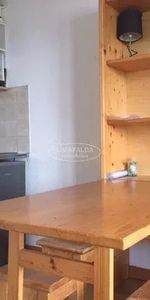 Location Appartement 1 pièce 18m² MONT SAXONNEX 74130 - Photo 3