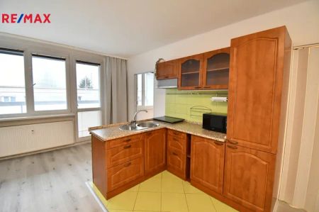 Pronájem bytu 1+1 s lodžií v osobním vlastnictví o celkové výměře 42 m - Photo 2