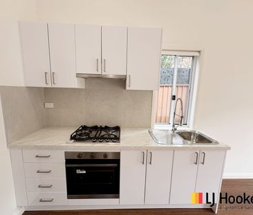 Brand New Modern and Bright Granny Flat - Photo 4