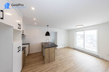 466 46e rue Ouest - Photo 3