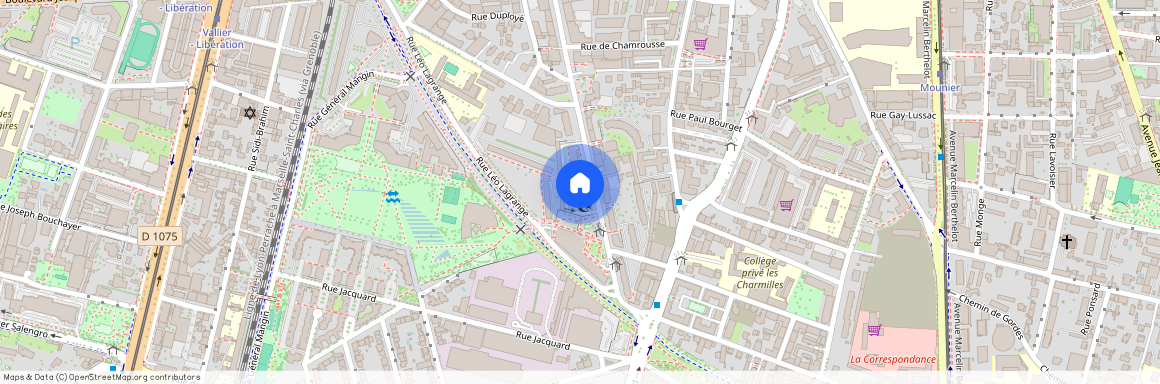 44 Rue Général Ferrié, Grenoble