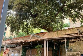 Via rossetti, 25, Genova, Liguria 16148