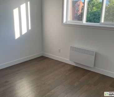2414, Cantin, Longueuil (Vieux-Longueuil) à louer - Photo 5