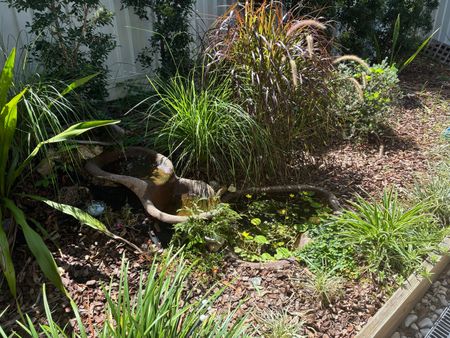 Indooroopilly - Photo 5