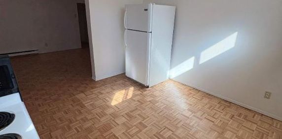 1 CH - 1 SDB - Montréal - $1,195 /mo - Photo 2