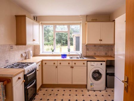 3 bedroom house to rent - Photo 4