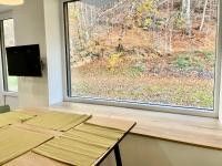 Pronájem bytu 1+kk • 36 m² bez realitkyK Lanovce, Jáchymov, Karlovarský kraj - Photo 4