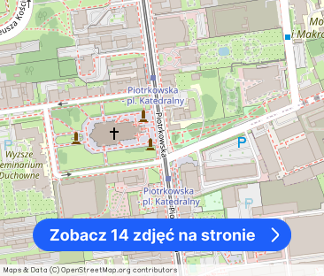 Klimatyczne 59 m² przy ul. Piotrkowskiej – zamieszkaj w centrum! - Zdjęcie 1