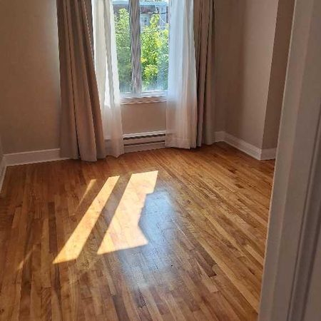 Parc extension 5 1/2 avec petite remise sur le balcon - Photo 3