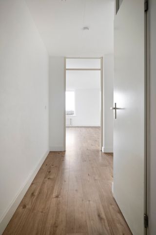 Hermelijnvlinder 95, Vlindertuin, 1113LC, Diemen - Photo 3