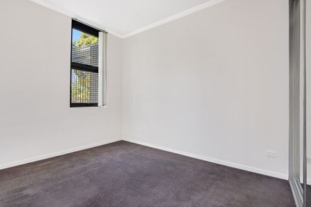 Forestville, 205B/2-4 Darley Street - Photo 2