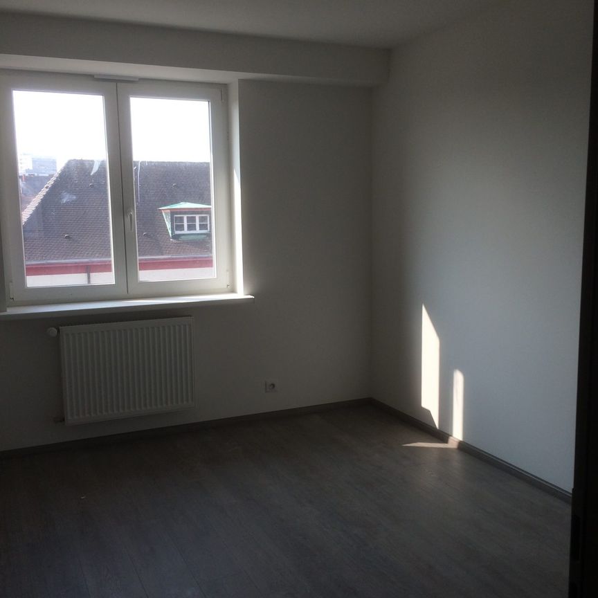 Location Appartement 5 pièces 108m² STRASBOURG 67000 - Photo 1
