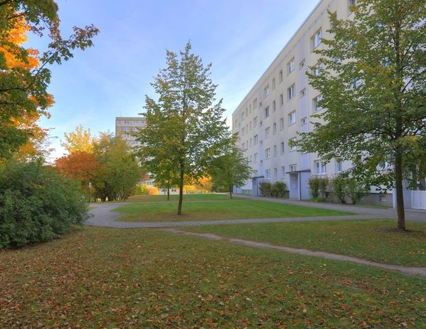 frisch renovierte Wohlfühlwohnung ab Mitte Februar 26 - Foto 1