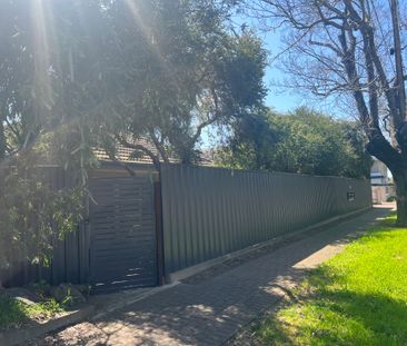 One Bedroom Cutie! - Photo 3