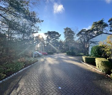 Habershon Drive, Frimley, Camberley, GU16 - Photo 6
