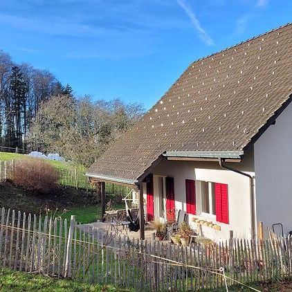 3½ Zimmer-Wohnung in Forch (ZH), möbliert, auf Zeit - Photo 1