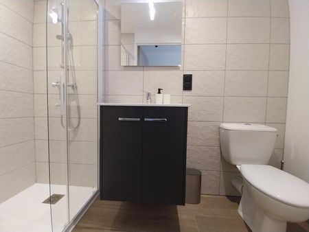 Location Appartement 1 pièce 18m² ORLEANS 45000 - Photo 4