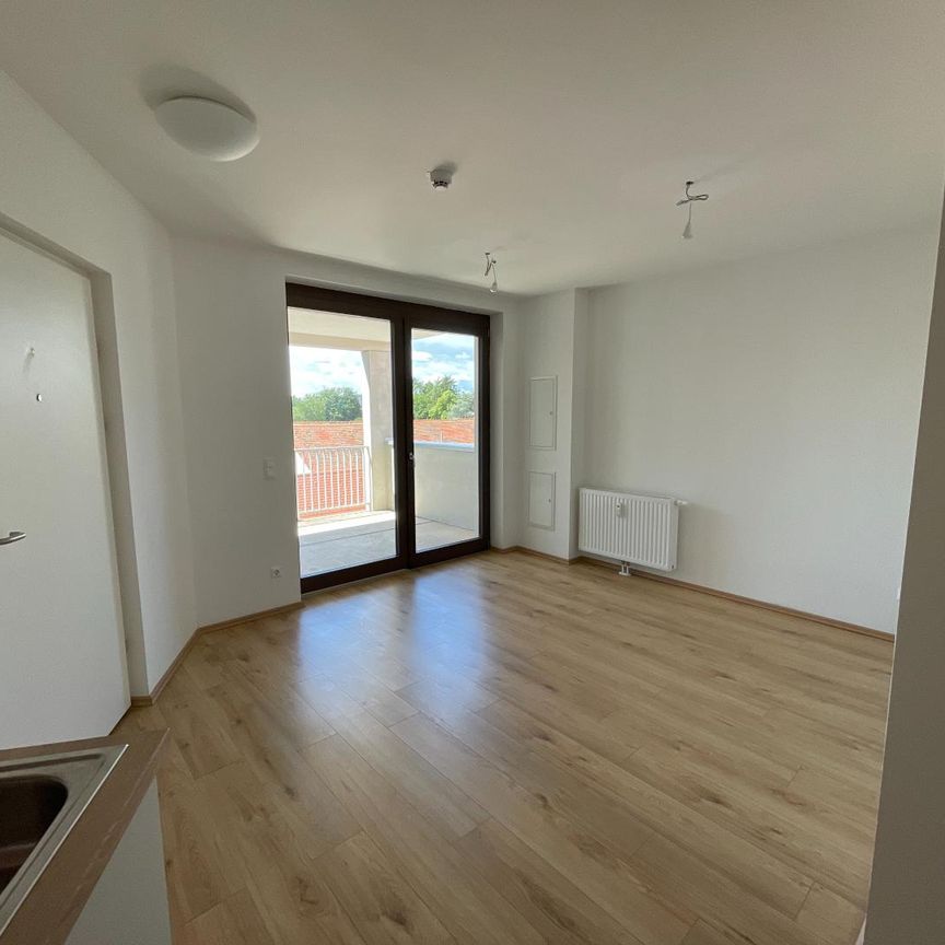 Geförderte Mietwohnung mit 3 Zimmer und Balkon - Photo 1