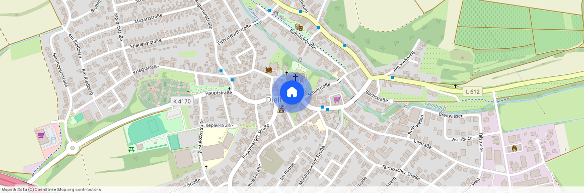 69234 Baden-Württemberg - Dielheim