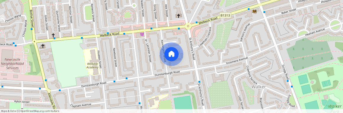 Adelphi Place, Walker, Newcastle Upon Tyne