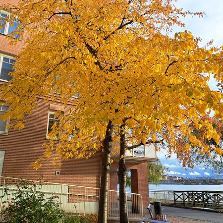 Tranebergs strand, Bromma - Photo 2