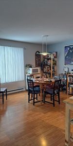 4 1/2 Lévis centre-ville, UQAR, proximité autoroute - Photo 3