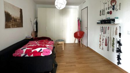 Auschliesslich Einzelperson in Zürich - Kreis 11, möbliert, auf Zeit - Photo 4