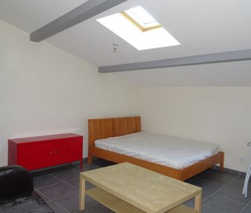 Location Appartement 1 pièce 20m² TAIN L HERMITAGE 26600 - Photo 1