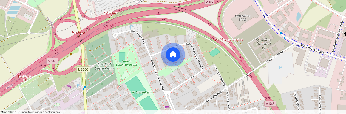 Carl-Sonnenschein-Straße 66, 65936, Frankfurt Am Main