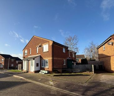 1 bedroom cluster house to rent - Photo 3