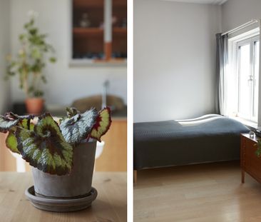 Nordenflychtsvägen, Stockholm - Foto 2