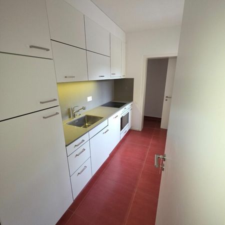 2.5 Zimmer, EG - Photo 5