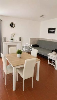 Location Appartement 1 pièce 26m² NARBONNE 11100 - Photo 1