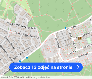 Mieszkanie 3 pokojowe, wysoki standard, Borek Fałęcki - Zdjęcie 1