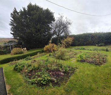 1 bedroom detached house to rent - Photo 6